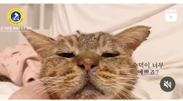 7d93e4b8d59d133cb96631d94db108b9_1702435284_3357.jpg
