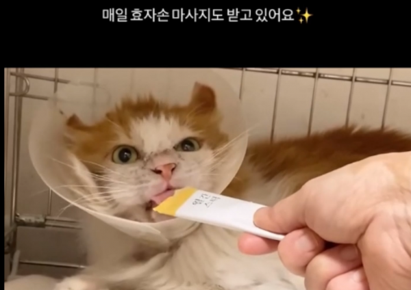 4f05f1b54e02f78c8208414b9a63cf63_1744431379_5565.PNG